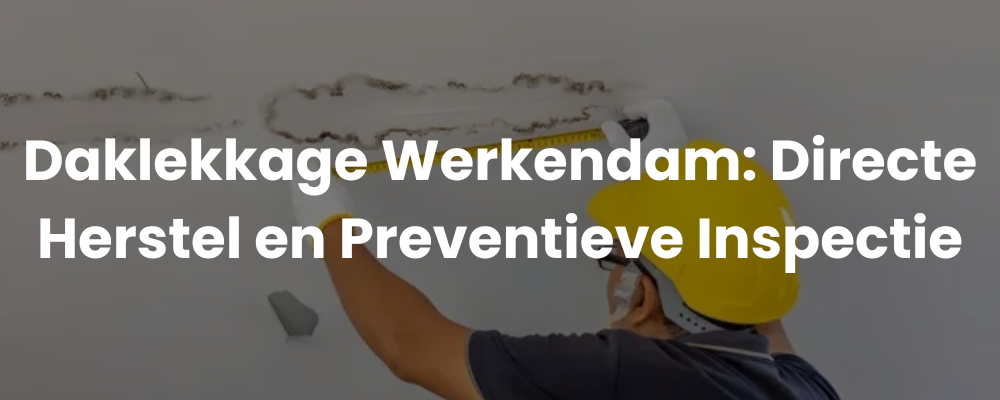 Daklekkage Werkendam: Directe Herstel en Preventieve Inspectie