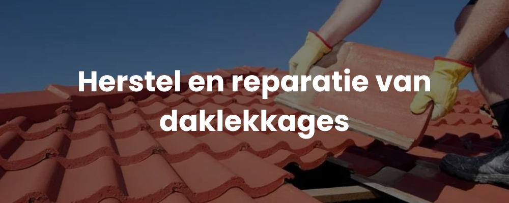 Herstel en reparatie van daklekkages