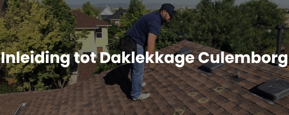 Inleiding tot Daklekkage Culemborg