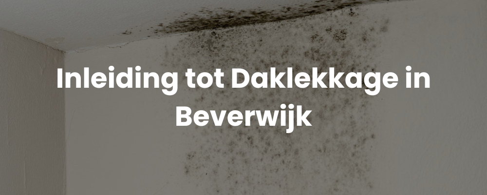 Inleiding tot Daklekkage in Beverwijk