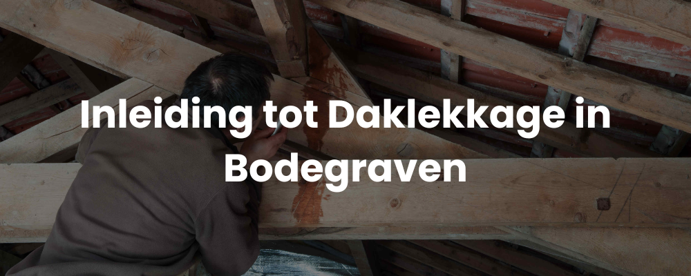 Inleiding tot Daklekkage in Bodegraven