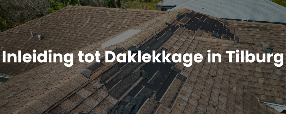 Inleiding tot Daklekkage in Tilburg