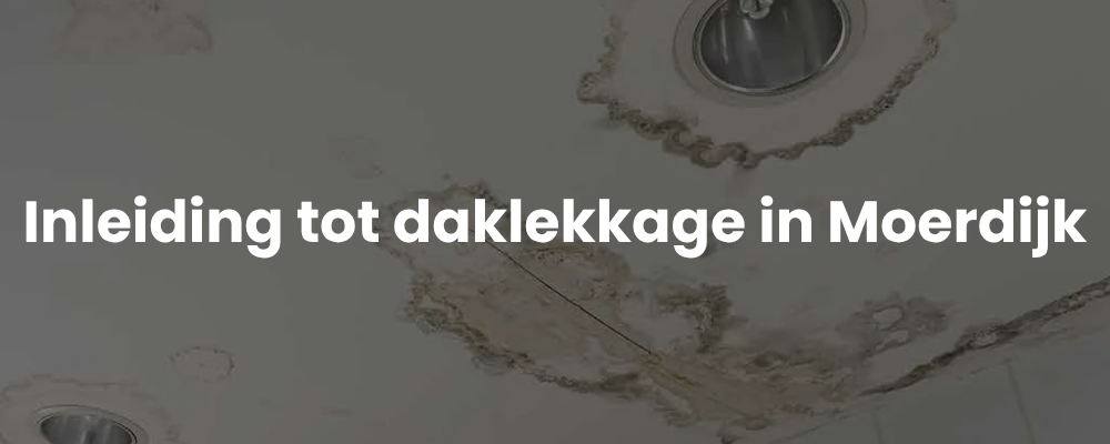 Inleiding tot daklekkage in Moerdijk<H2>