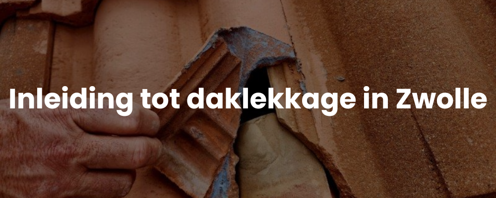 Inleiding tot daklekkage in Zwolle
