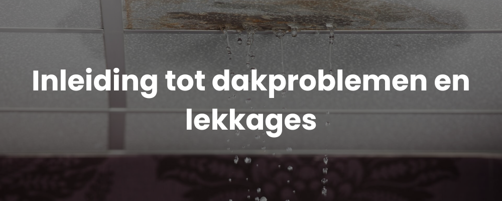 Inleiding tot dakproblemen en lekkages