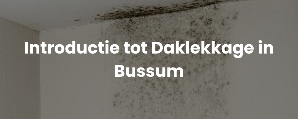 Introductie tot Daklekkage in Bussum