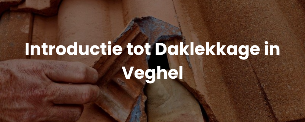 Introductie tot Daklekkage in Veghel