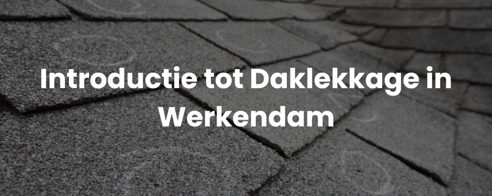Introductie tot daklekkage in Bladel