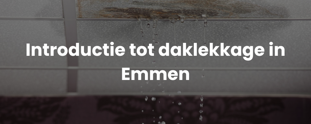 Introductie tot daklekkage in Emmen