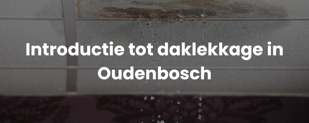 Introductie tot daklekkage in Oudenbosch