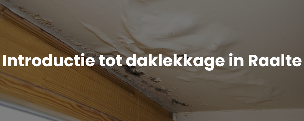 Introductie tot daklekkage in Raalte