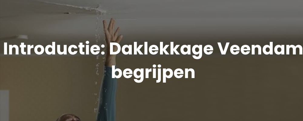 Introductie: Daklekkage Veendam begrijpen