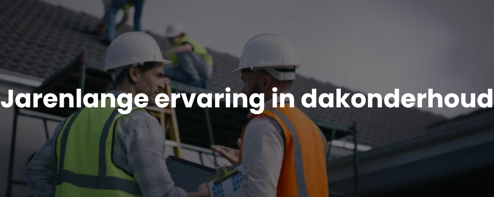 Jarenlange ervaring in dakonderhoud