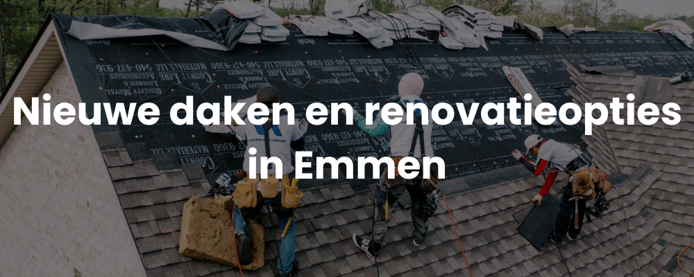 Nieuwe daken en renovatieopties in Emmen