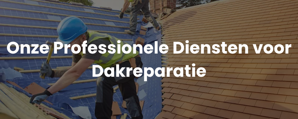 Onze Professionele Diensten voor Dakreparatie
