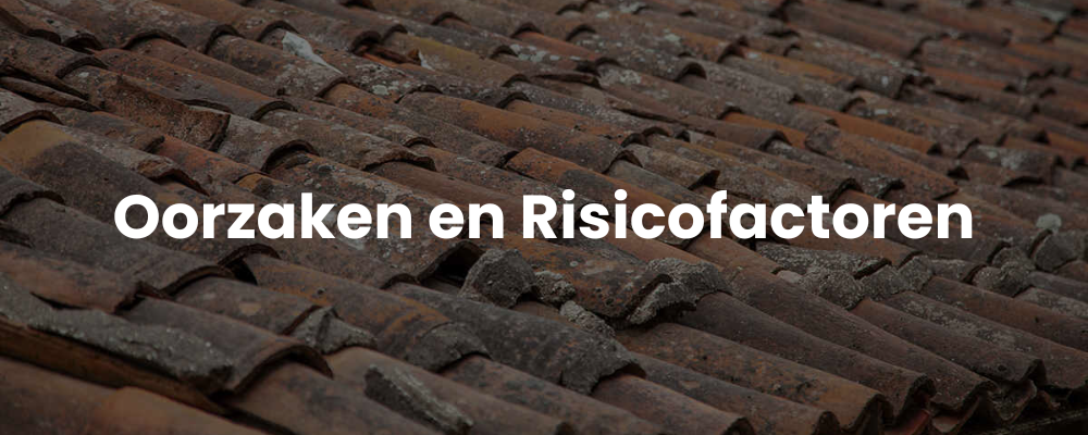 Inleiding tot Daklekkage in Bodegraven