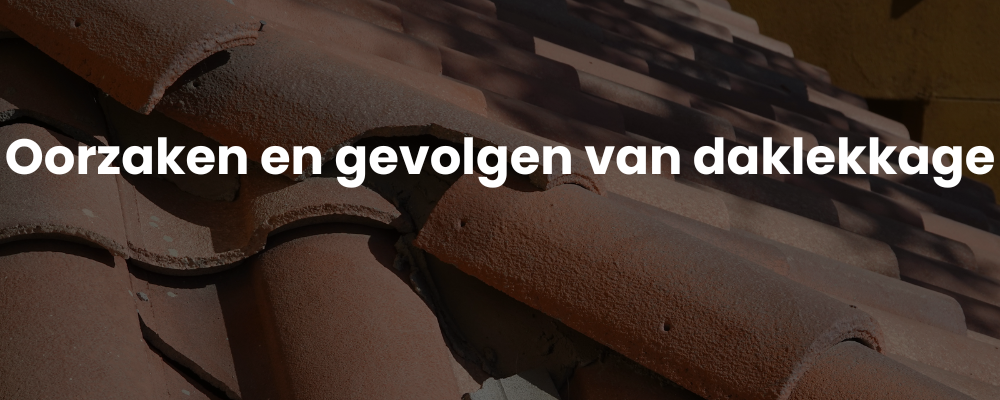 Oorzaken en gevolgen van daklekkage