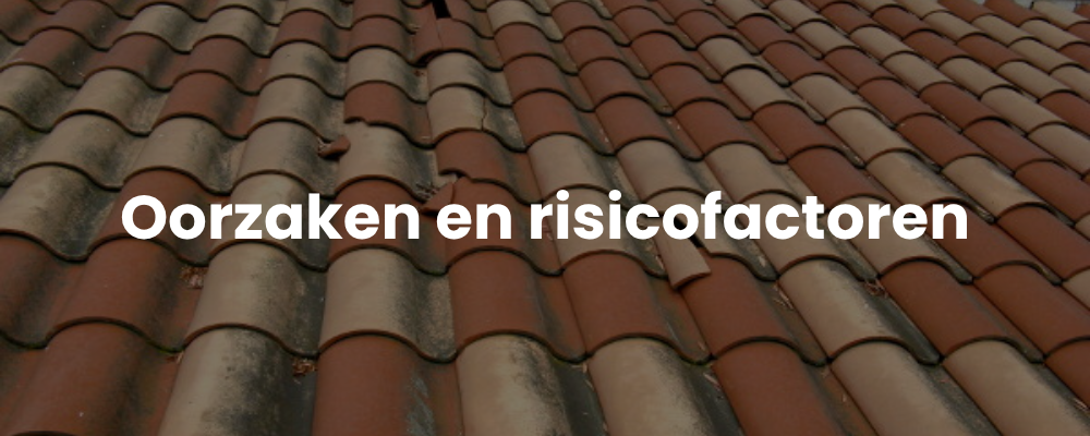 Wat is Daklekkage Schiedam?