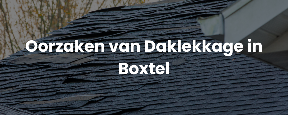 Oorzaken van Daklekkage in Boxtel