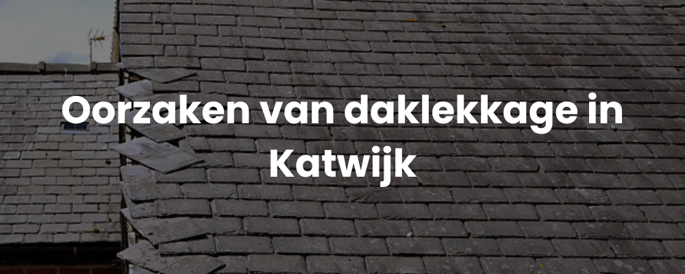 Oorzaken van daklekkage in Katwijk