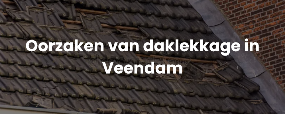 Oorzaken van daklekkage in Veendam