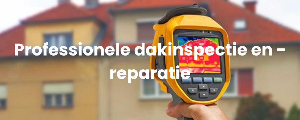 Professionele dakinspectie en -reparatie