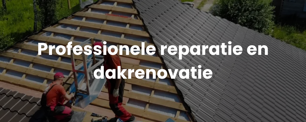 Professionele reparatie en dakrenovatie