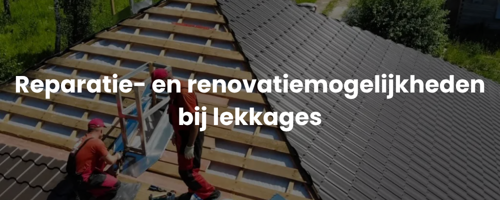 Reparatie- en renovatiemogelijkheden bij lekkages