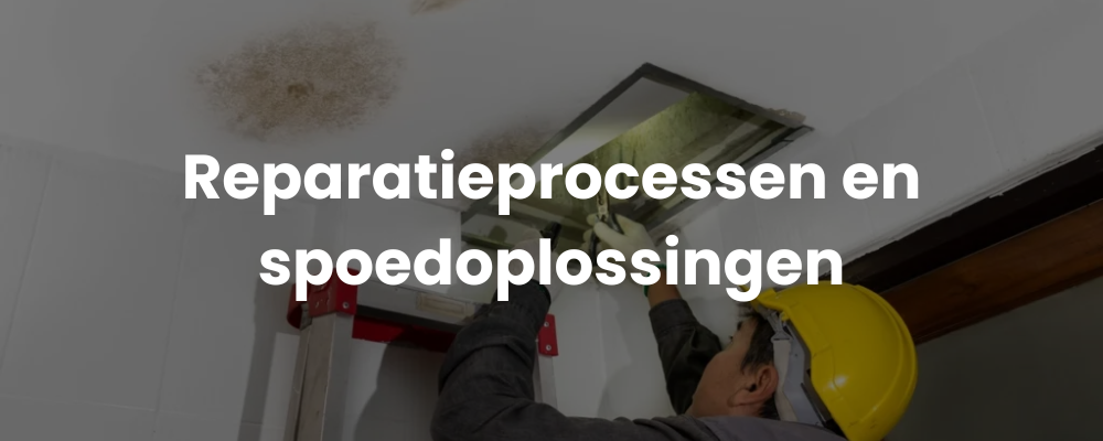 Reparatieprocessen en spoedoplossingen