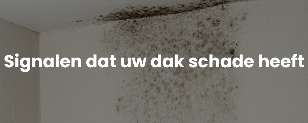 Signalen dat uw dak schade heeft