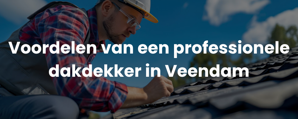 Voordelen van een professionele dakdekker in Veendam