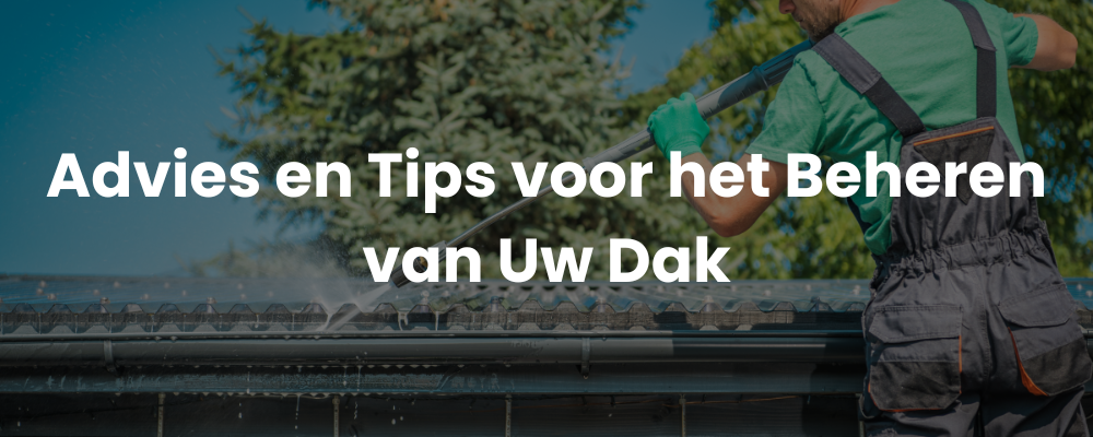 Advies en Tips voor het Beheren van Uw Dak