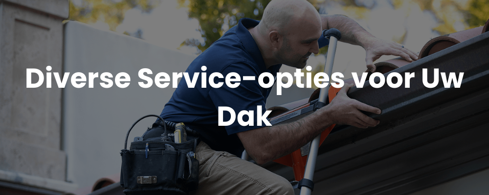 Diverse Service-opties voor Uw Dak