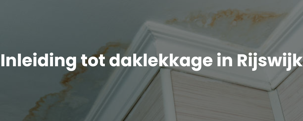 Inleiding tot daklekkage in Rijswijk