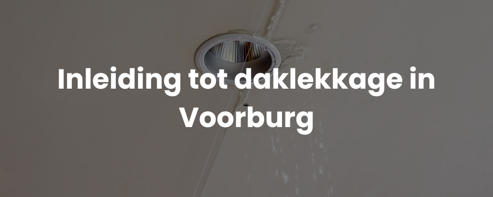 Inleiding tot daklekkage in Voorburg