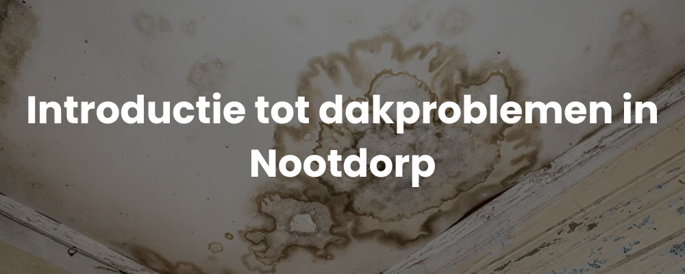 Introductie tot dakproblemen in Nootdorp