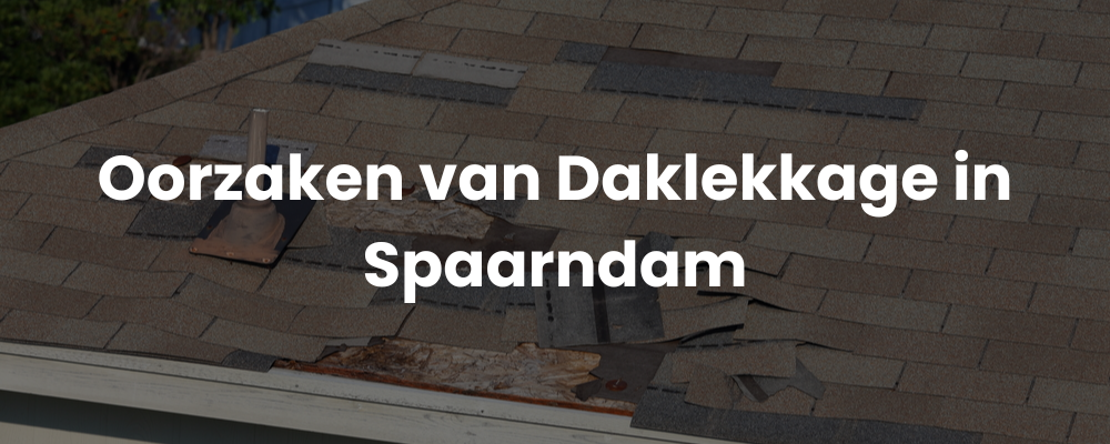 Oorzaken van Daklekkage in Spaarndam