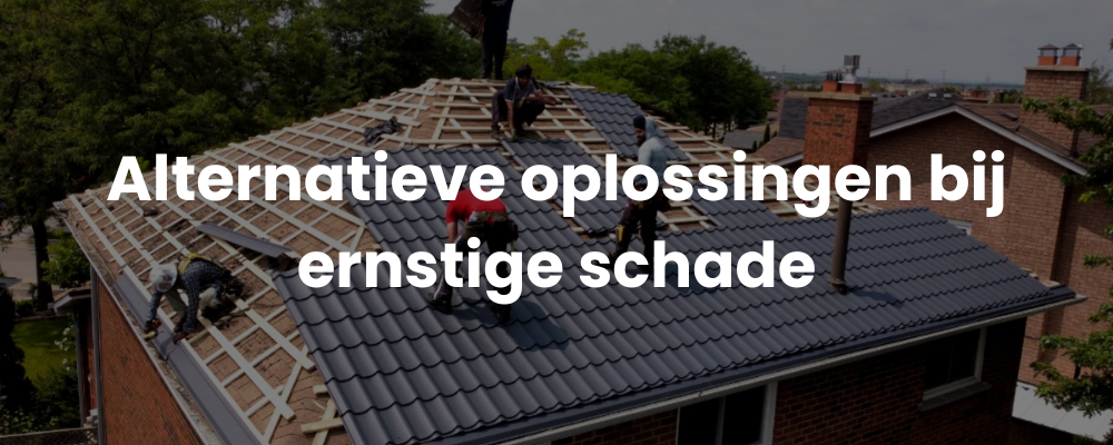 Alternatieve oplossingen bij ernstige schade