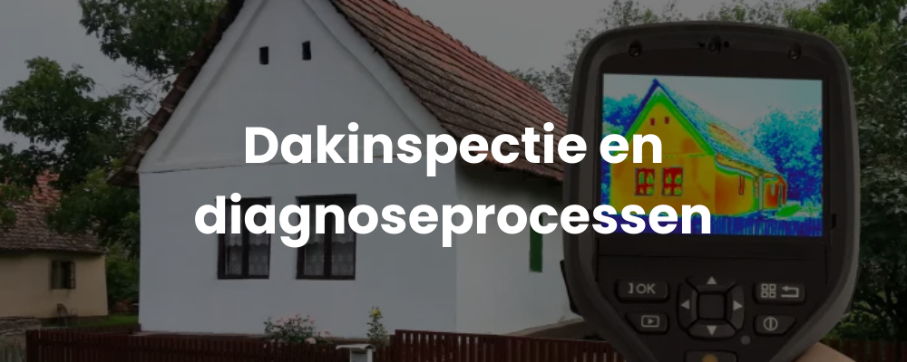 Dakinspectie en diagnoseprocessen