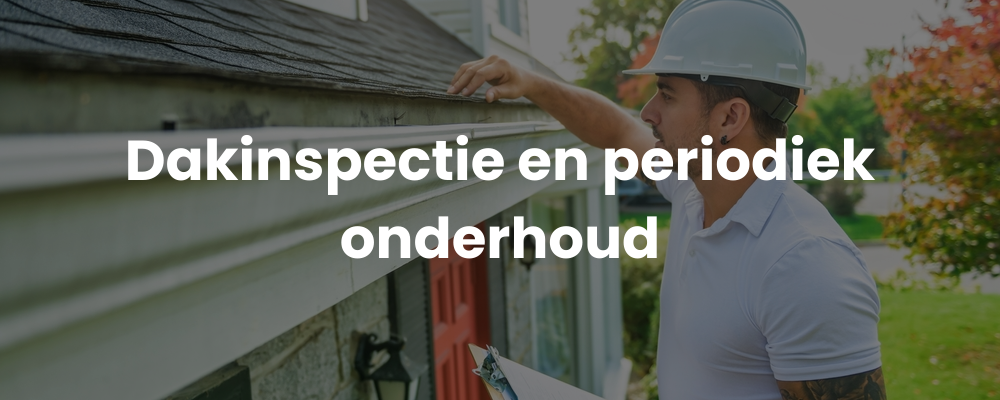 Dakinspectie en periodiek onderhoud
