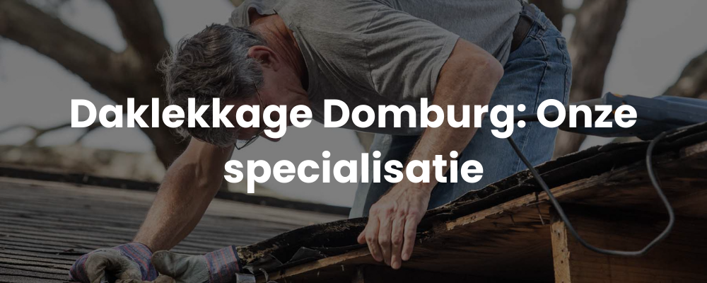 Daklekkage Domburg: Onze specialisatie