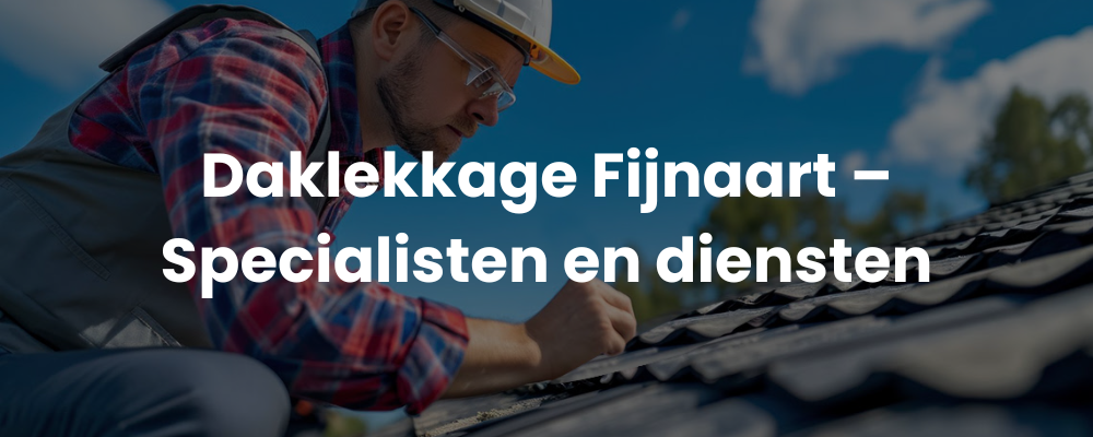 Daklekkage Fijnaart - Specialisten en diensten