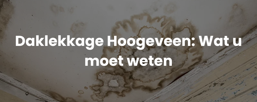 Daklekkage Hoogeveen: Wat u moet weten