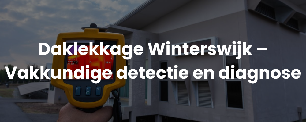 Daklekkage Winterswijk - Vakkundige detectie en diagnose