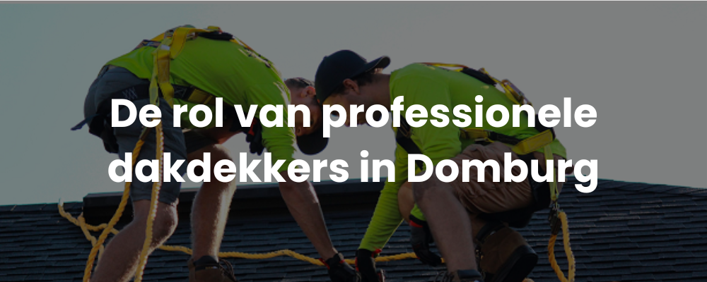 De rol van professionele dakdekkers in Domburg