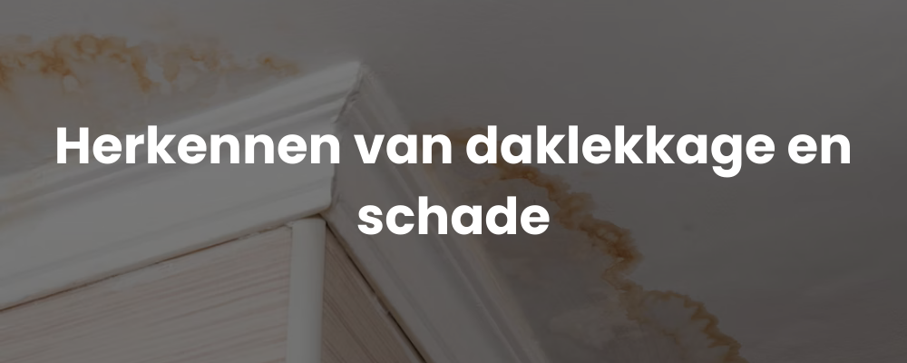 Herkennen van daklekkage en schade