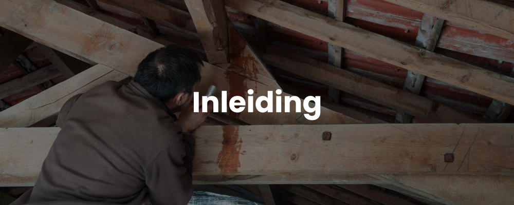 Inleiding