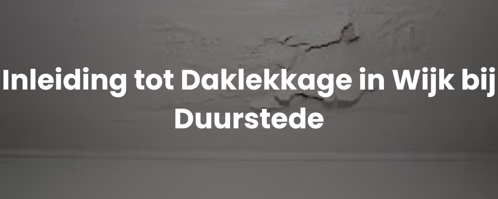 Inleiding tot Daklekkage in Wijk bij Duurstede
