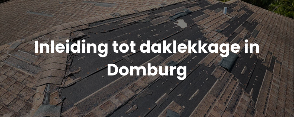 Inleiding tot daklekkage in Domburg