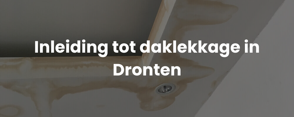 Inleiding tot daklekkage in Dronten